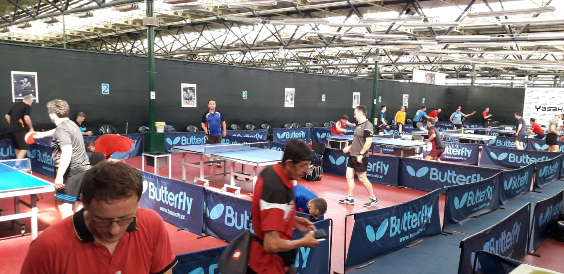 IMG-20190527-WA0035